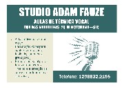 Studio adam fauze - aulas de técnica vocal