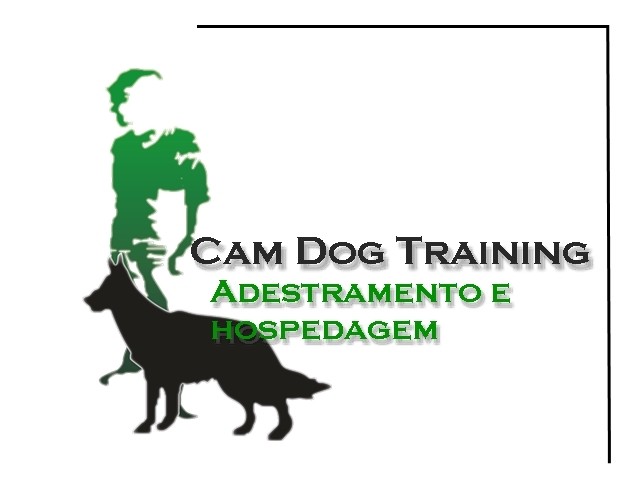 Foto 1 - Adestramento inteligente de cães